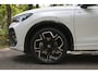 Volkswagen Tiguan 1.5 eHybrid R-Line Business | IQ | Pano | Trekhaak | 360° cam | Elek. klep