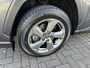Toyota RAV4 2.5 Hybrid AWD Exec. | trekhaak | Panodak |