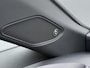 CUPRA Born Business 62 kWh | 360 Camera | Panodak | Beats | Elek Stoelen | Navi |