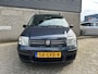 Fiat Panda 1.2 Edizione Cool