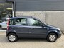 Fiat Panda 1.2 Edizione Cool