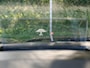Ford Kuga 2.5 PHEV ST-Line X | HUD | HAAK | B&O | WINTERPACK | CAMERA |