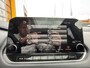 Nissan Qashqai 1.3 MHEV 140 pk  Premiere Edition Camera Panodak
