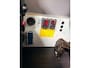 Renault Master Servicewagen T35 2.3 dCi 145pk euro6 L2H2 BOTT Inrichting, Victron omvormer, Standkachel, Trekhaak, RIJKLAARPRIJS!