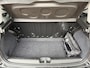 Fiat Panda 1.0 Hybrid 70 PK Cross | Carplay | PDC | DAB | 5 zits