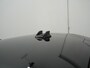 Ford Kuga 2.5 PHEV 243PK ST-LINE X CVT FACELIFT | 2100kg trekgewicht | Winterpakket | Driver Assistance