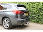 BMW X1 XDrive25d High Executive | 231 PK | Full options