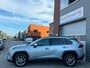 Toyota RAV4 2.5 Hybrid Executive! 360° Camera! Leder! Pano!