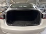 Tesla Model 3 Long Range AWD 75 kWh | Trekhaak |