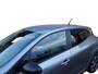 Renault Clio 1.0 TCe 90 Evolution | LMV | PDC | Navi |