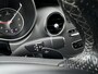 Mercedes-Benz V-klasse 250d Lang Avantgarde DC MARGE Leer 360° Navi Cruise