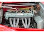 Alfa Romeo 6C 2300 Pescara spider S0011 - M1233