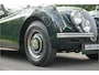 Jaguar XK120 S0396 - M1242