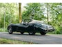 Jaguar XK120 S0396 - M1242