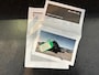 Dacia Spring EXTREME l NAP l 5DRS l CRUISE l DAB l NAVI l AIRCO l