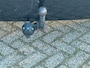 Renault Modus 1.4-16V Dynamique Nwe Distr Riem & Apk Airco LM-V Trekhaak