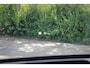 MG MGS6 EV Luxury 2WD 77 kWh // Panoramadak | Stoelverwarming + verkoeling | HUD | 360 camera | Memory | CarPlay & Android Auto | V2L | Keyless Entry