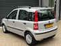 Fiat Panda 1.2 Edizione Cool