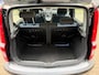 Fiat Panda 1.2 Edizione Cool