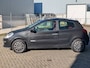 Renault Clio 1.4-16V Rip Curl Airco Pano NAP