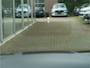 Volkswagen Golf 1.5 eTSI R-Line Business PANO HUD HARMAN KARDON CAMERA MATRIX IQ BLACK OPTIC BOMVOL!!