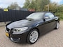 BMW 2-Serie Cabrio 220i Autom/Tiptr High Executive Leer/Stoelverw/Clima/Navi