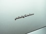 Maserati Quattroporte 4.2 V8 400PK (2005) | 41.124 km | NL-auto | Azzurro California | Glazen schuifdak | TubiStyle | Bose