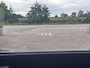 Volkswagen ID.4 Tech 77 kWh Tech 20 inch Pano/Matrix/adapt cruise