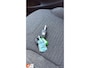 Citroën C3 1.0 PureTech Collection|NETJES|NAP|NWE APK