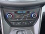 Ford C-Max 150PK Titanium | Automaat | Trekhaak | Xenon | Park. sens V+A | Keyless | Elekt. klep | Voorruitverwarming | Clima | Cruise