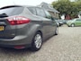 Ford C-Max 1.6 EcoBoost Titanium gr navi clima