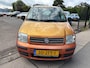 Fiat Panda 1.2 Edizione Cool