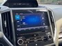 Subaru XV 2.0i autom AWD e-BOXER Luxury ecc,led,navi,lmv,carplay,cruise