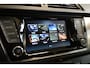 Skoda Fabia 1.0 TSI 96pk Business Ed. | NL-auto | Navi | Carplay | PDC | 100% (Dealer) onderhouden label