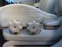 Hyundai Tucson 2.0i Active Airco Stuurbekrachtiging Lm Velgen