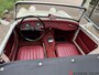 Austin Healey Sprite mk1 Frogeye