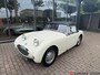Austin Healey Sprite mk1 Frogeye