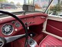 Austin Healey Sprite mk1 Frogeye