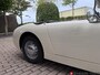 Austin Healey Sprite mk1 Frogeye
