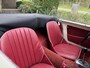 Austin Healey Sprite mk1 Frogeye