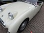 Austin Healey Sprite mk1 Frogeye