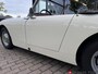 Austin Healey Sprite mk1 Frogeye