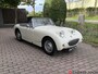 Austin Healey Sprite mk1 Frogeye