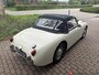 Austin Healey Sprite mk1 Frogeye
