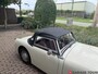 Austin Healey Sprite mk1 Frogeye