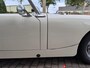 Austin Healey Sprite mk1 Frogeye