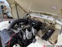 Austin Healey Sprite mk1 Frogeye