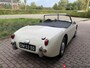 Austin Healey Sprite mk1 Frogeye