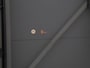 BMW X1 sDrive20i Centennial High Executive | Pano.Dak | Trekhaak | Stoelverwarming | Head-Up |