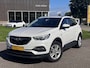 Opel Grandland X 1.2 Turbo Business + #RIJKLAAR# | Trekhaak | ECC